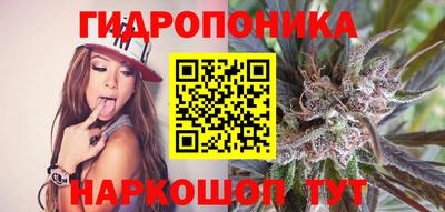 СК Будённовск