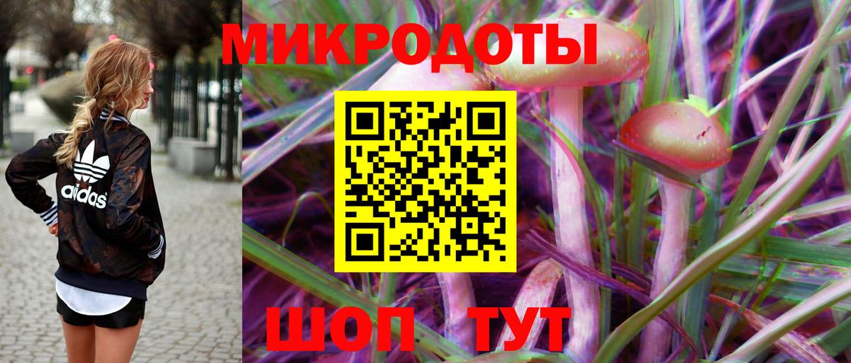 Новокубанск  Псилоцибиновые грибы прущие грибы  Вход с VPN 