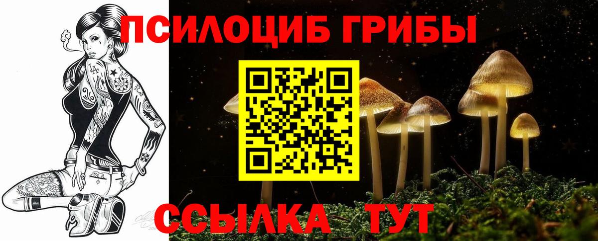 Галлюциногенные грибы мухоморы Новокубанск